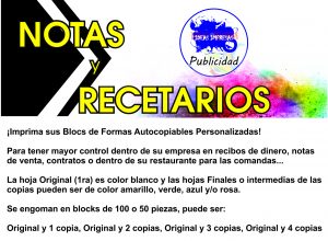 notas de remision